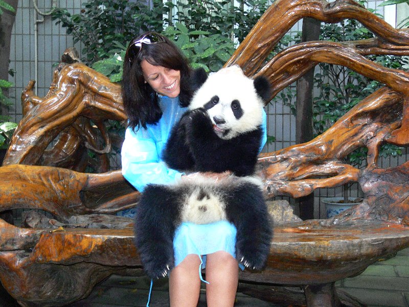 Pandas (003).jpg